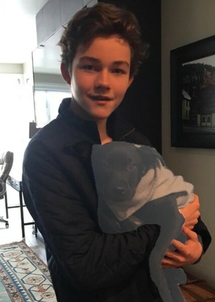 Levi Miller photo