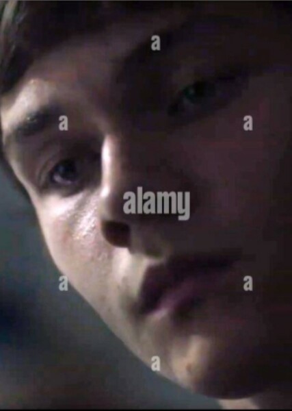 Levi Miller photo
