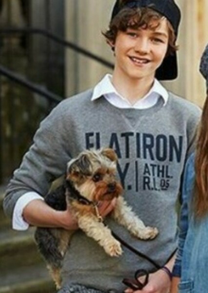 Levi Miller photo