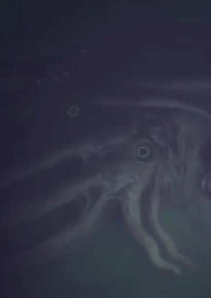 Leviathan (Call of Cthulhu)