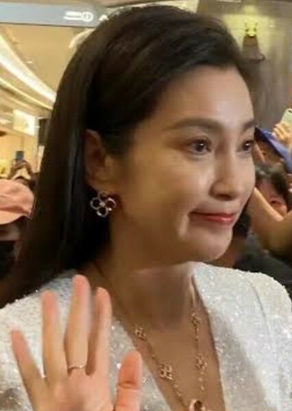 Li Bingbing photo