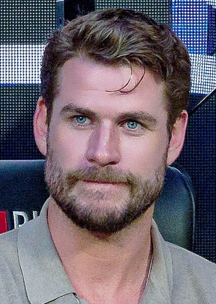 Liam Hemsworth photo