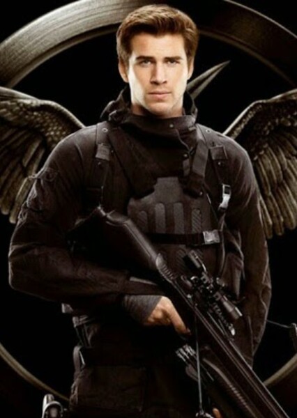Liam Hemsworth photo