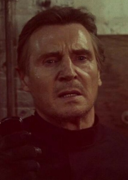 Liam Neeson photo