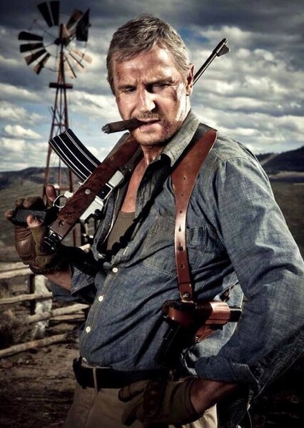 Liam Neeson photo