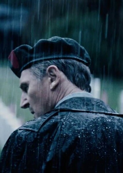 Liam Neeson photo