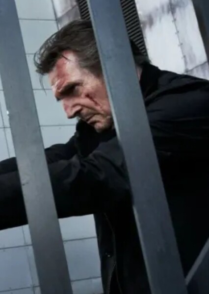Liam Neeson photo