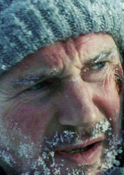 Liam Neeson photo