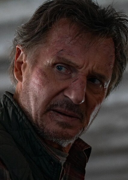Liam Neeson photo