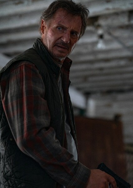 Liam Neeson photo