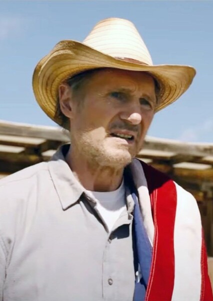Liam Neeson photo