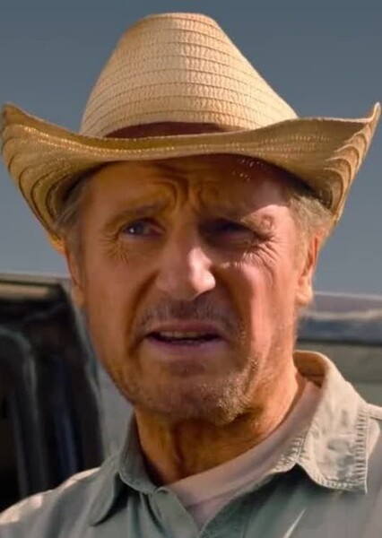 Liam Neeson photo