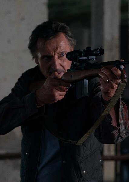 Liam Neeson photo