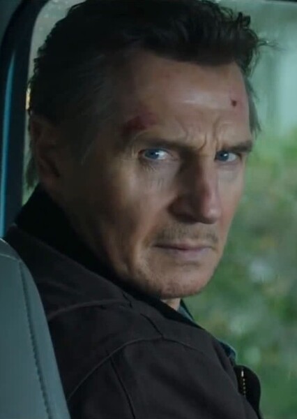 Liam Neeson photo