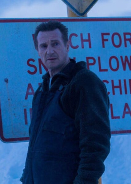 Liam Neeson photo