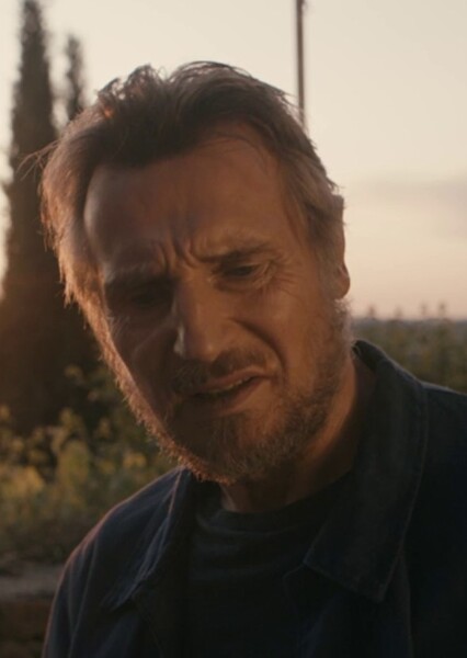 Liam Neeson photo