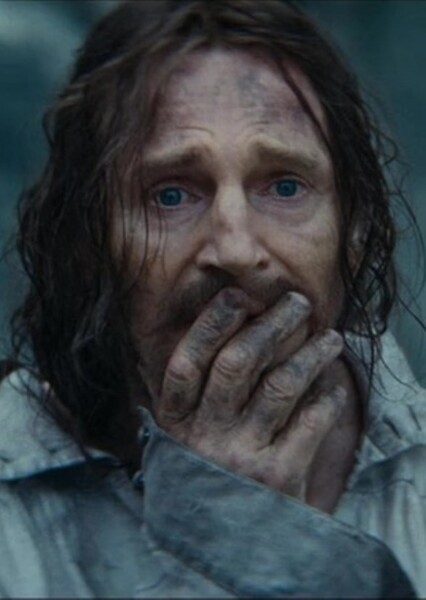 Liam Neeson