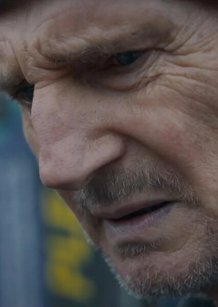 Liam Neeson photo