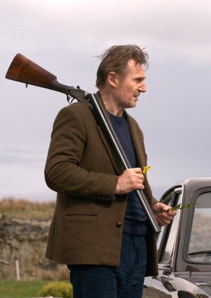 Liam Neeson photo