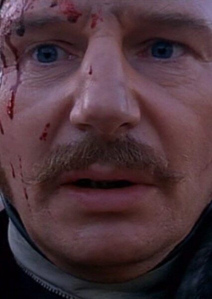 Liam Neeson photo