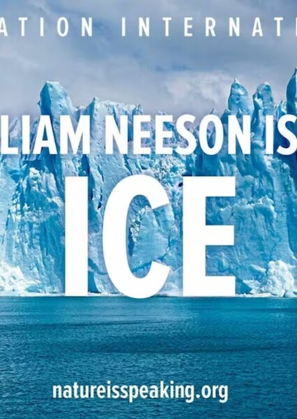Liam Neeson photo