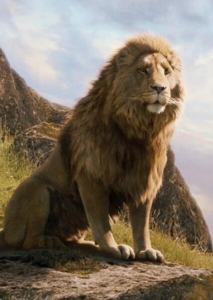 Liam Neeson photo