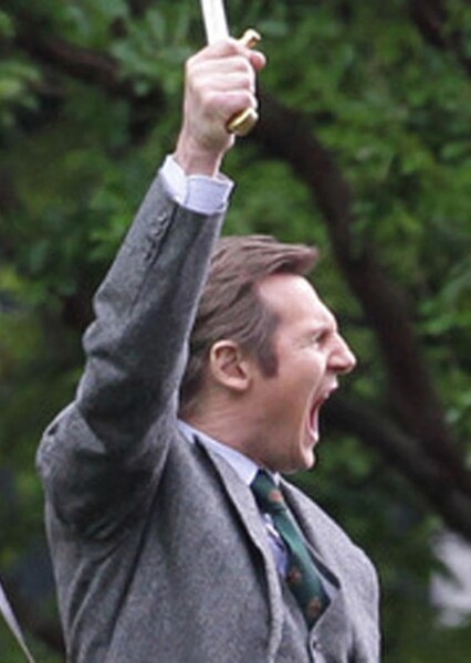 Liam Neeson photo