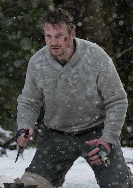 Liam Neeson photo