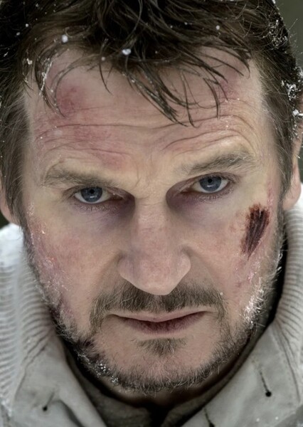 Liam Neeson photo