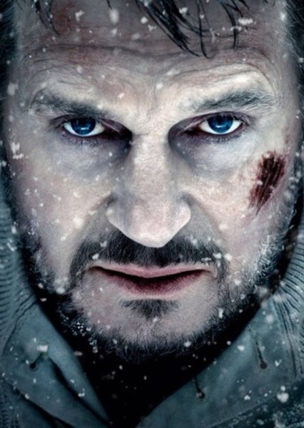 Liam Neeson photo
