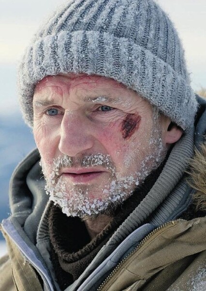 Liam Neeson photo