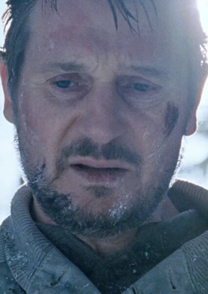 Liam Neeson photo