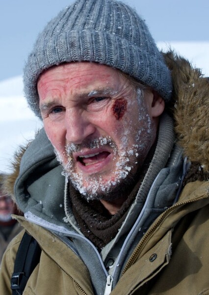 Liam Neeson photo