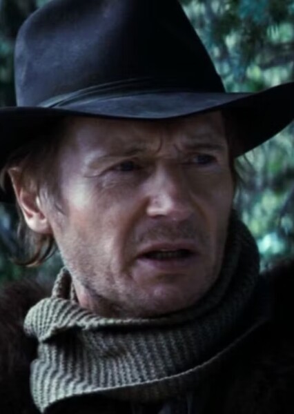 Liam Neeson photo