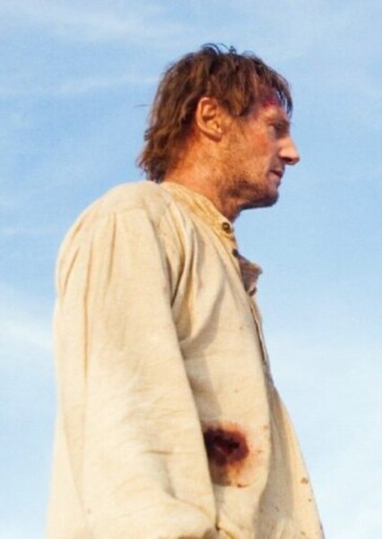 Liam Neeson photo