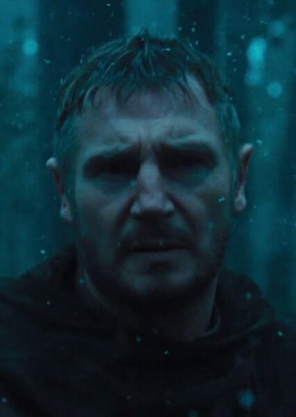 Liam Neeson photo