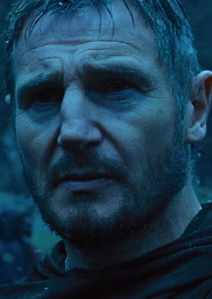 Liam Neeson photo