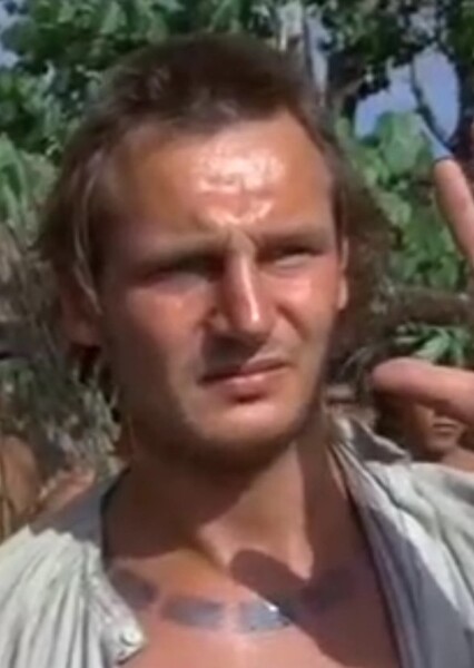 Liam Neeson photo