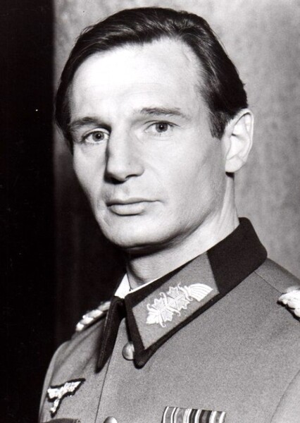 Liam Neeson photo