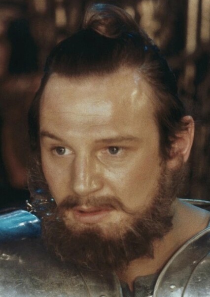Liam Neeson photo