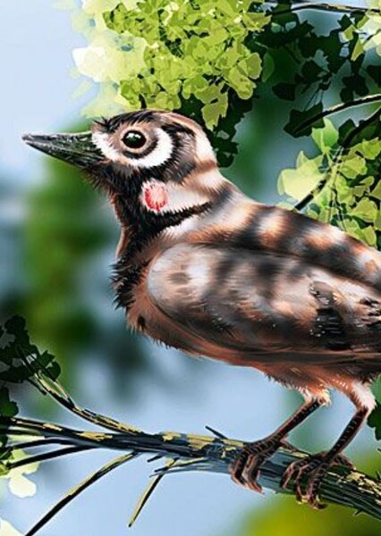 Liaoningornis