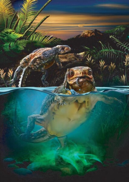 Liaoningosaurus photo