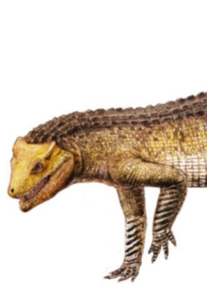 Libycosuchus
