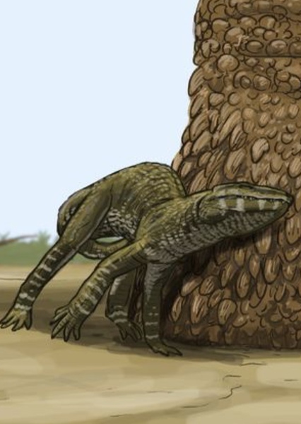 Libycosuchus photo