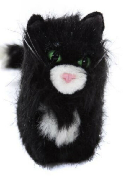 Licorice (American Girl) photo