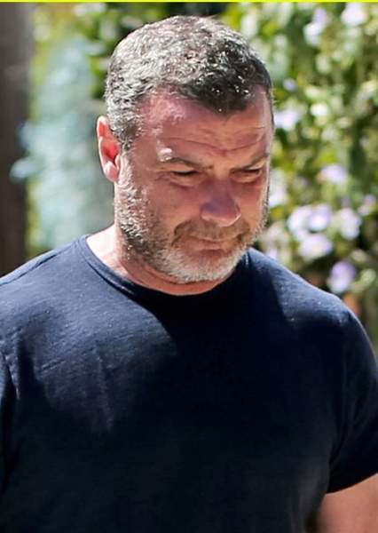 Liev Schreiber photo