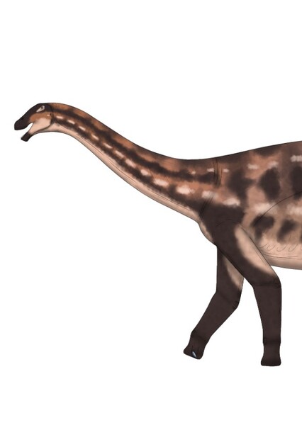 Limaysaurus photo