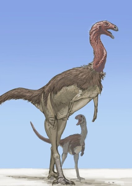Limusaurus