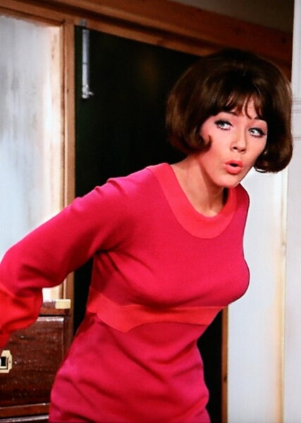 Linda Thorson photo