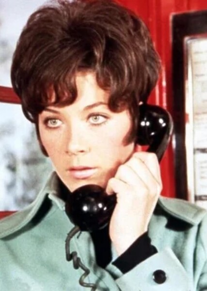 Linda Thorson photo